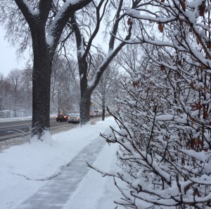 Photo credit: Lynette Nyman/American Red Cross