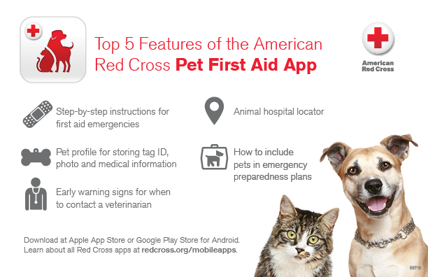 Pet First Aid App Infographic