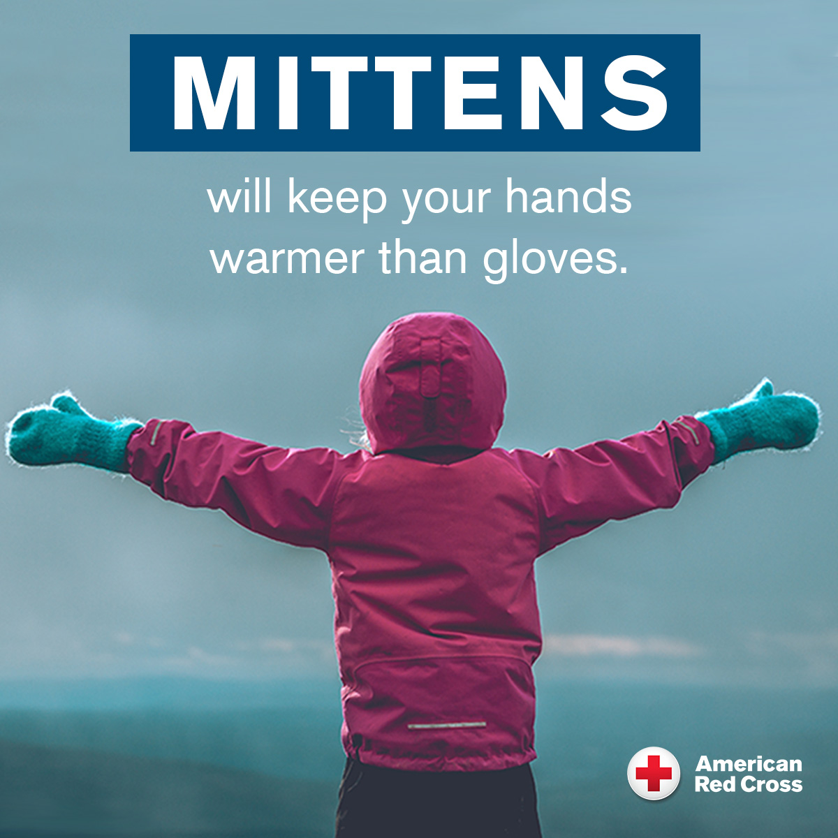 mittens wintertip-fb
